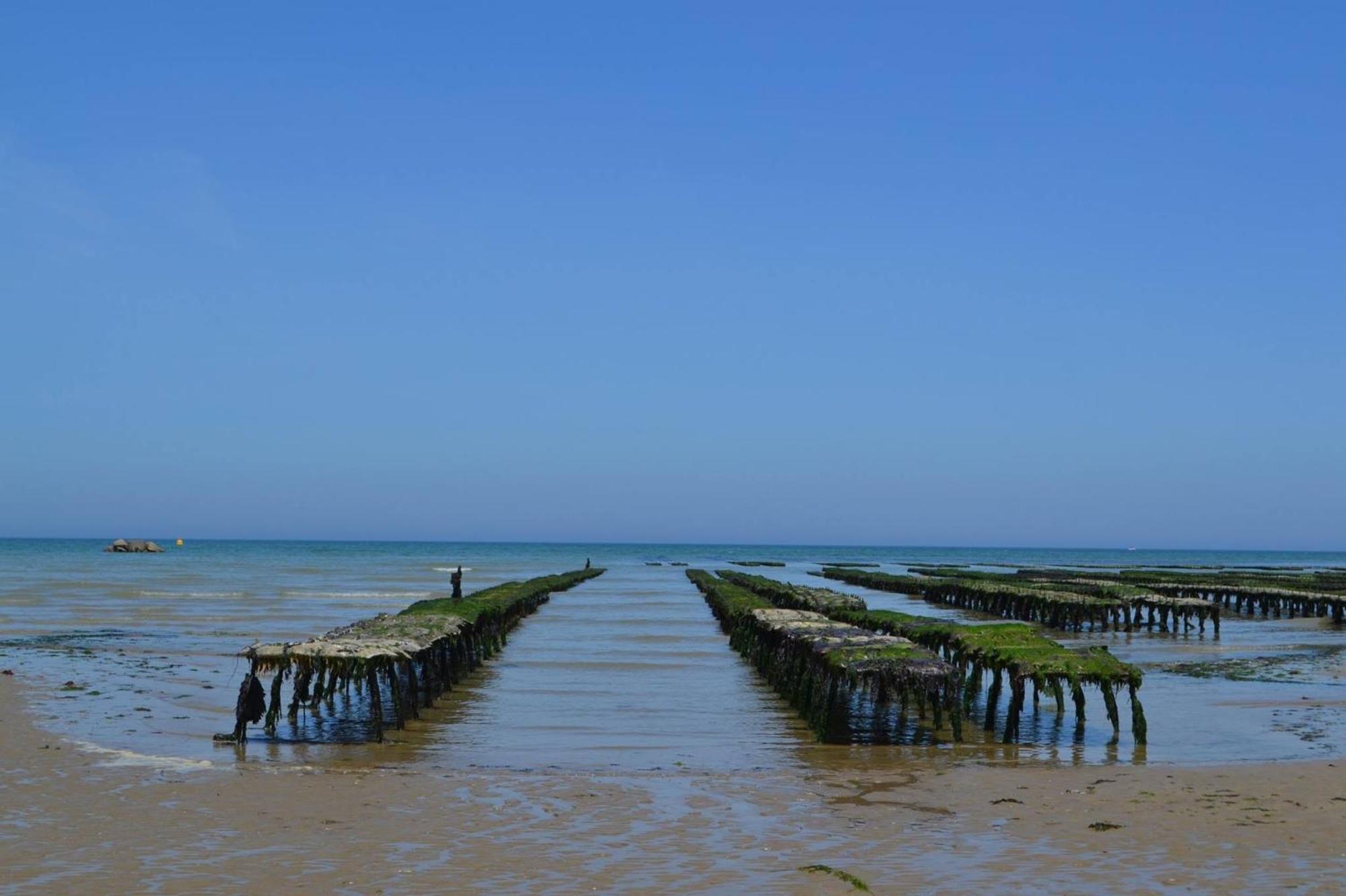 Le So Art, Grande Maison 4 Chambres, Terrain De Petanque, Grand Jardin Clos, Flipper, Babyfoot, Jeux Arcade, Ping Pong,1 Km Mer, Proche Golf, Port En Bessin, Bayeux Et Plages Du Debarquement, Adaptee Enfants Commes Luaran gambar